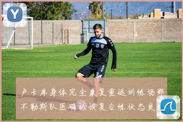 卢卡库身体完全康复重返训练场那不勒斯队医确认恢复合练状态良好