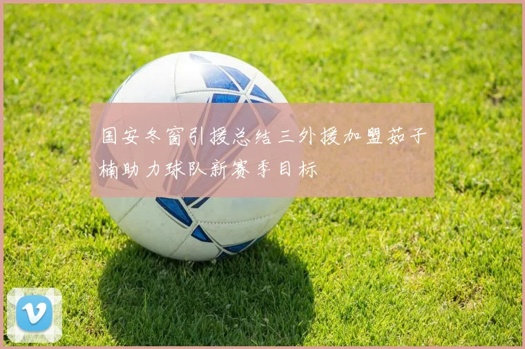 国安冬窗引援总结三外援加盟茹子楠助力球队新赛季目标