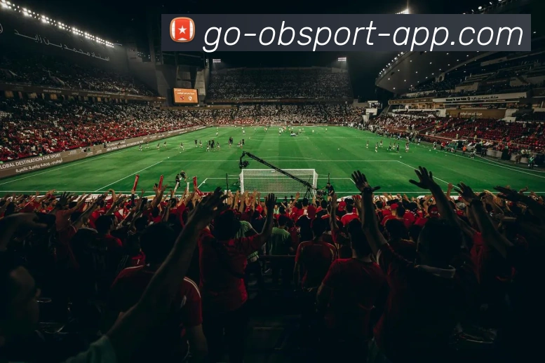 OB体育发展历程